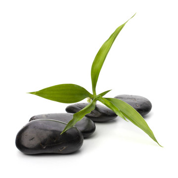 鵝卵石路。水療與保健概念。