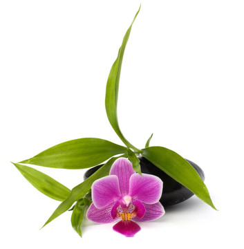 水療與保健概念。蘭花與石頭。