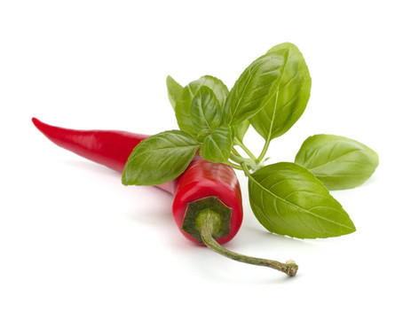 Chili pepper與香料藥草