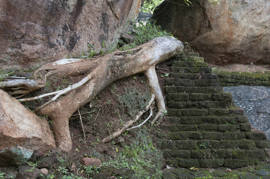 古代臺(tái)階；斯里蘭卡；遺址；錫吉里亞古宮