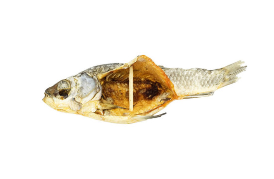 白底干魚