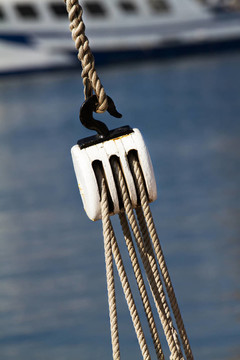 釣魚(yú)輪