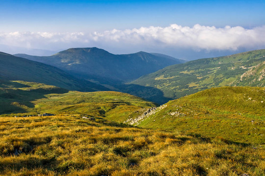 山
