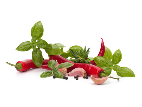 Chili pepper與香料藥草
