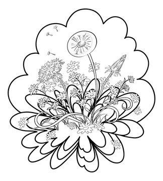 花與葉蒲公英；輪廓