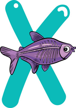 X射線魚