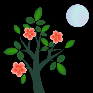 nightbranch