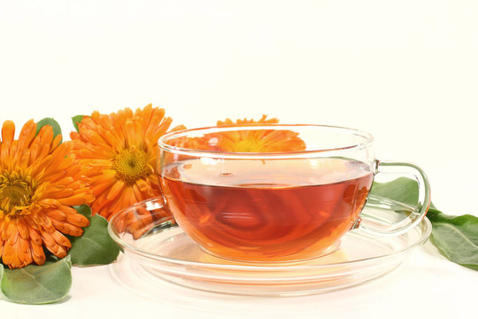 金盞花茶