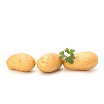 新土豆綠歐芹