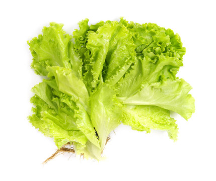 新鮮的生菜沙拉