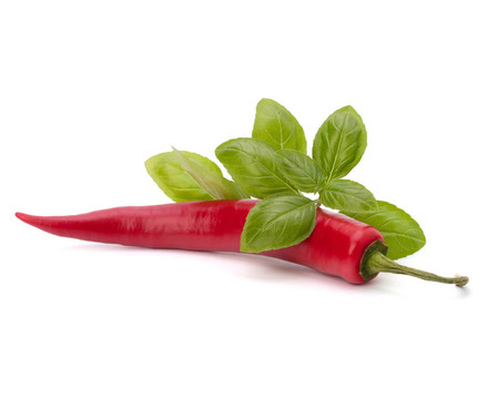 Chili pepper與香料藥草