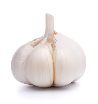 大蒜鱗莖
