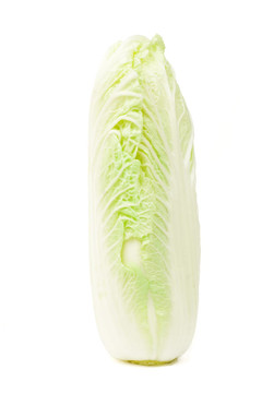 Napa大白菜