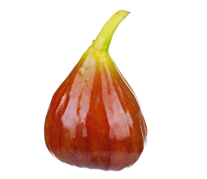 新鮮無花果