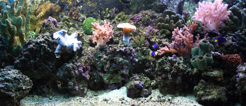 水族箱背景