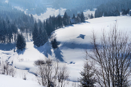 在捷克共和國(guó)白雪皚皚的山谷