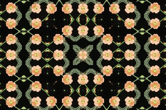 花朵圖案的矩形