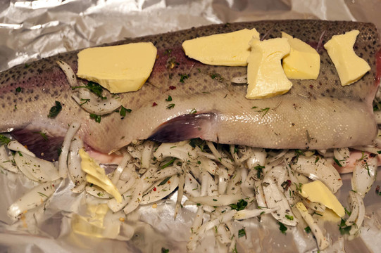 鮭鱒魚