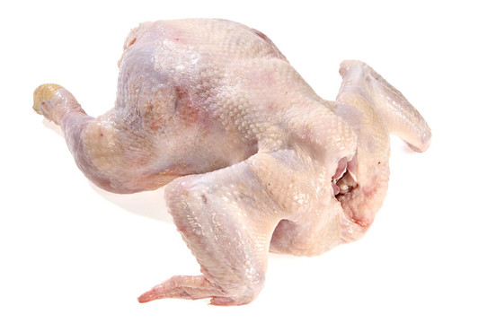 生雞肉