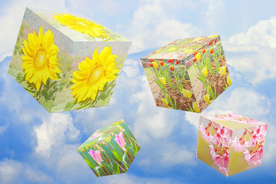 空中花盒