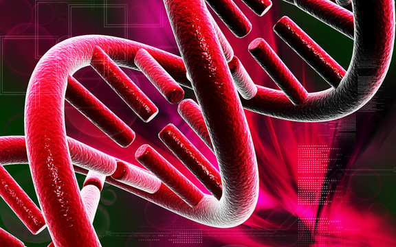 DNA