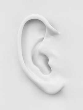 人耳白軟。3d