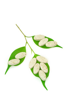 天然補(bǔ)丸與鮮葉