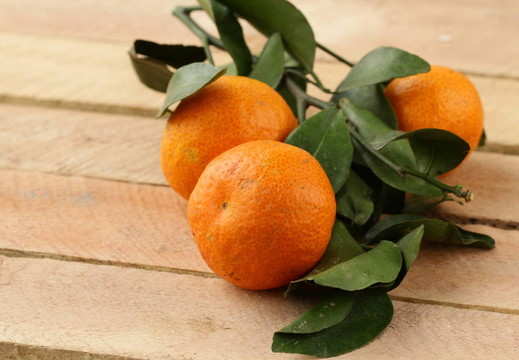 新鮮多汁的Tangerine夜店；普通話