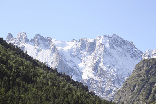 高snowmountains和松木