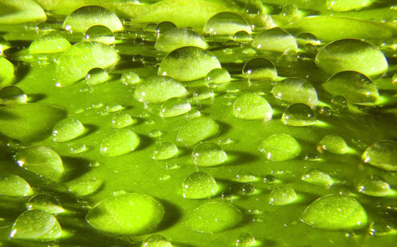 水滴