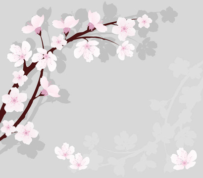 櫻桃枝向量