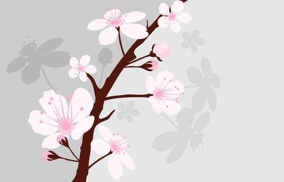 櫻桃枝向量