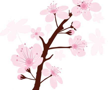 櫻桃枝向量