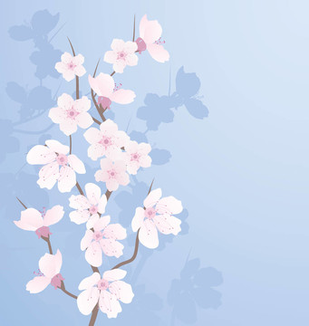 櫻桃枝向量