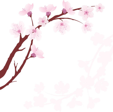 櫻桃枝向量