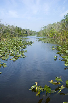 大沼澤地國(guó)家公園
