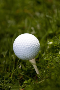 Golf Ball和TEE