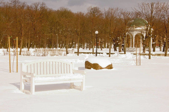 公園在冬天