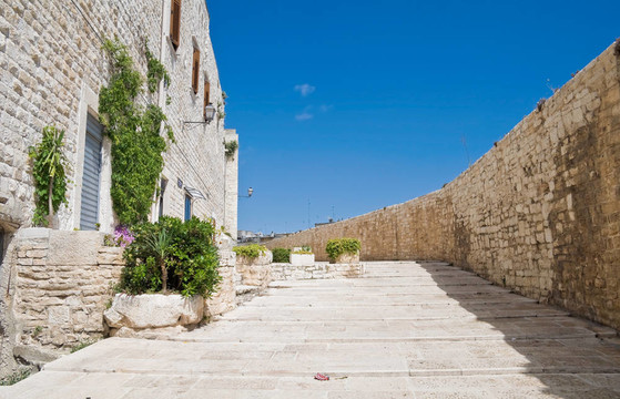 Giovinazzo舊城區(qū)。Apulia。