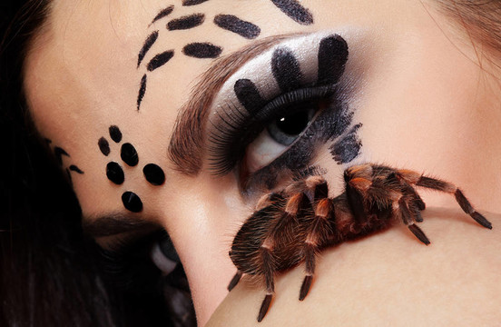 蜘蛛女spider Brachypelma smithi