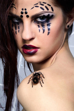 蜘蛛女spider Brachypelma smithi