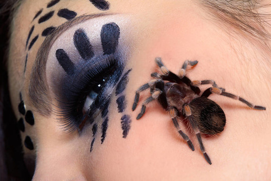 在女孩的臉頰，蜘蛛俠Brachypelma smithi