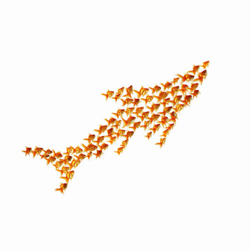 金魚