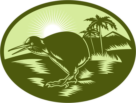 獼猴桃鳥側(cè)視樹背景