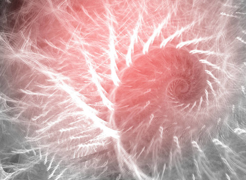 紅色抽象工藝設計
