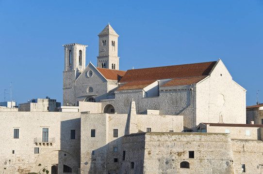 Giovinazzo的教堂。Apulia。