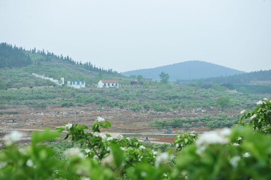 果園