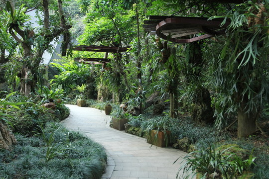 植物園
