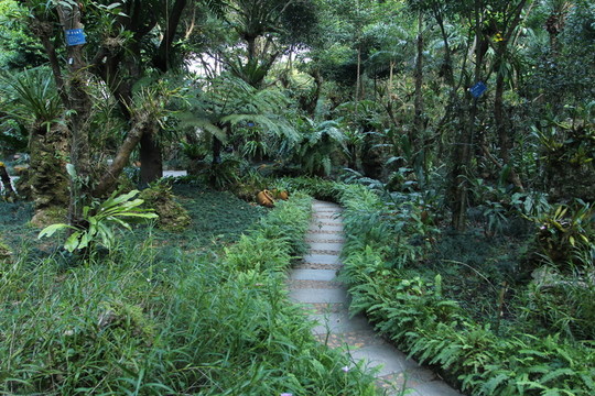 園林小徑