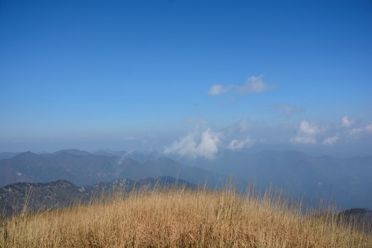 天目山自然保護區(qū)